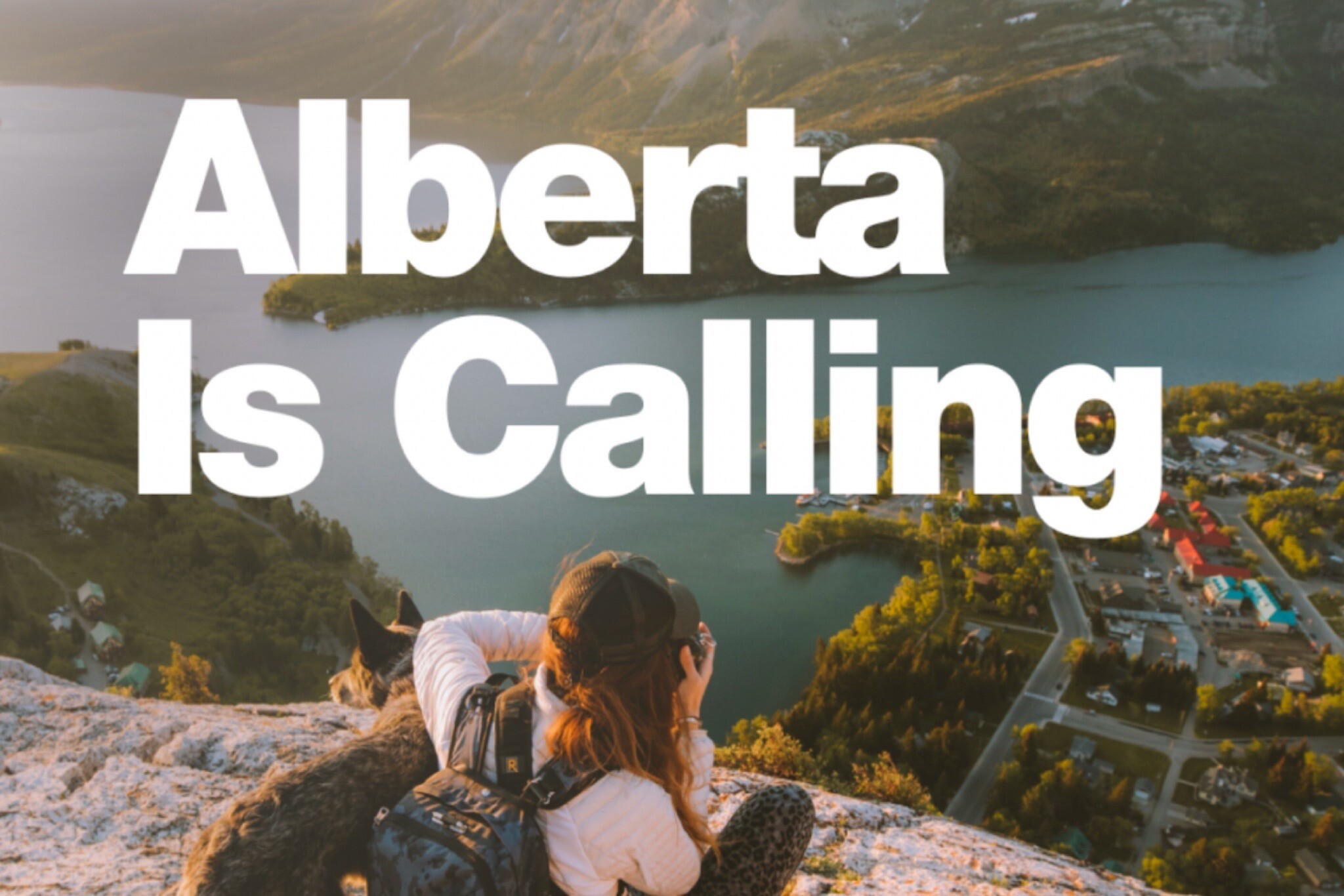 alberta immigration news today