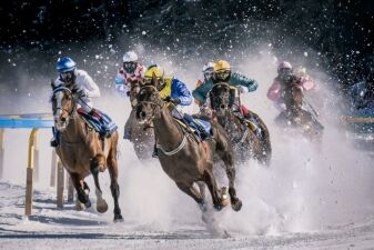 Best Places to Visit in Canada For Horse Racing Enthusiasts